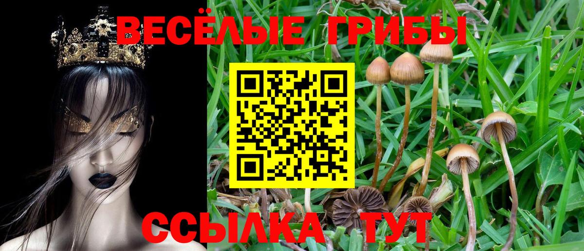 Галлюциногенные грибы Psilocybe  Вход с VPN  Учалы  Псилоцибиновые грибы мухоморы 